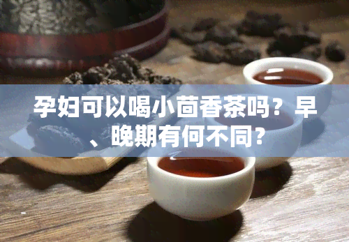 孕妇可以喝小茴香茶吗？早、晚期有何不同？