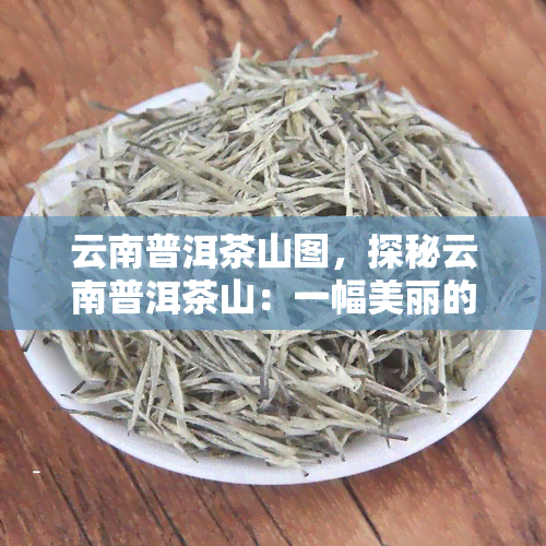 云南普洱茶山图，探秘云南普洱茶山：一幅美丽的生态画卷