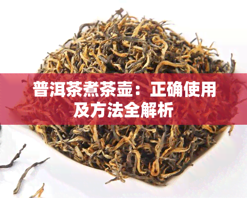 普洱茶煮茶壶：正确使用及方法全解析