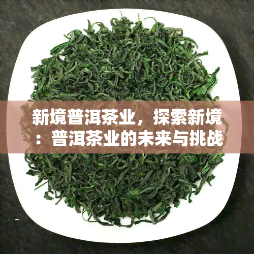 新境普洱茶业，探索新境：普洱茶业的未来与挑战