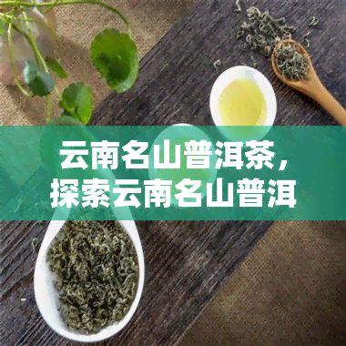 云南名山普洱茶，探索云南名山普洱茶的奥秘与魅力