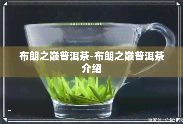 布朗之巅普洱茶-布朗之巅普洱茶介绍