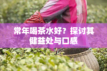 常年喝茶水好？探讨其健益处与口感