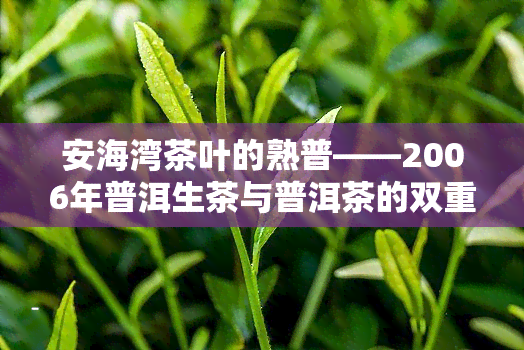 安海湾茶叶的熟普——2006年普洱生茶与普洱茶的双重享受