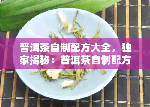 普洱茶自制配方大全，独家揭秘：普洱茶自制配方大全，轻松在家享受醇香口感！