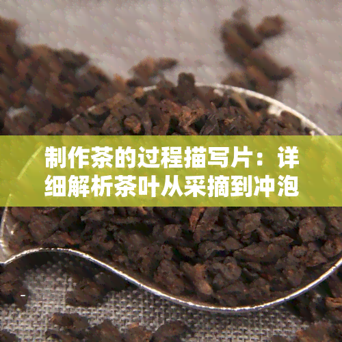 制作茶的过程描写片：详细解析茶叶从采摘到冲泡的全过程