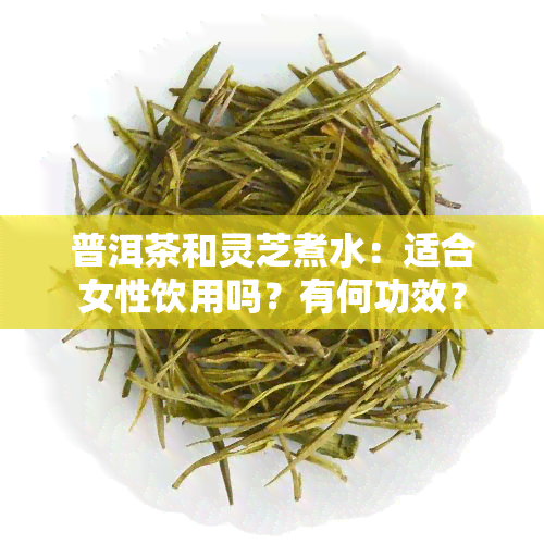 普洱茶和灵芝煮水：适合女性饮用吗？有何功效？