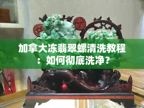 加拿大冻翡翠螺清洗教程：如何彻底洗净？