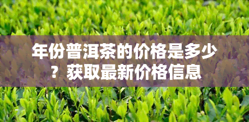 年份普洱茶的价格是多少？获取最新价格信息