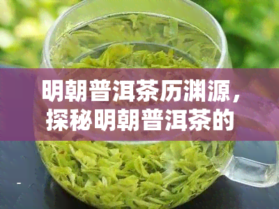 明朝普洱茶历渊源，探秘明朝普洱茶的历渊源