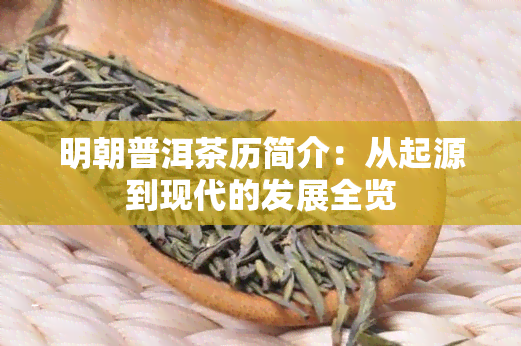 明朝普洱茶历简介：从起源到现代的发展全览