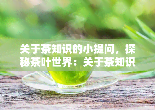 关于茶知识的小提问，探秘茶叶世界：关于茶知识的小提问