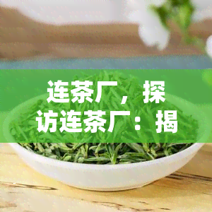 连茶厂，探访连茶厂：揭秘优质普洱茶的制作过程