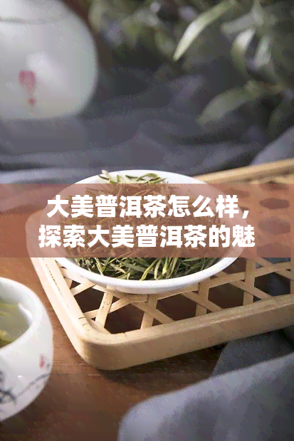 大美普洱茶怎么样，探索大美普洱茶的魅力：一次味蕾与视觉的宴