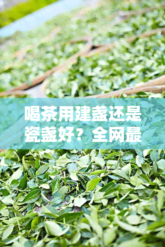 喝茶用建盏还是瓷盏好？全网最全对比评测！