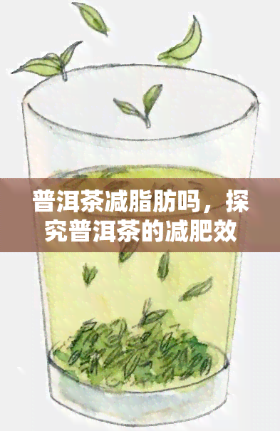 普洱茶减脂肪吗，探究普洱茶的减肥效果：真的能帮助减少脂肪吗？