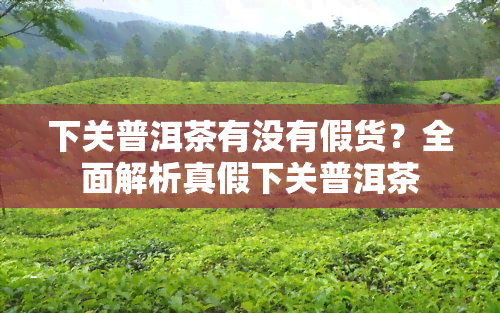 下关普洱茶有没有假货？全面解析真假下关普洱茶