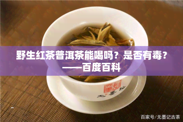 野生红茶普洱茶能喝吗？是否有？——百度百科