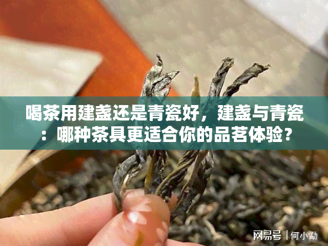 喝茶用建盏还是青瓷好，建盏与青瓷：哪种茶具更适合你的品茗体验？