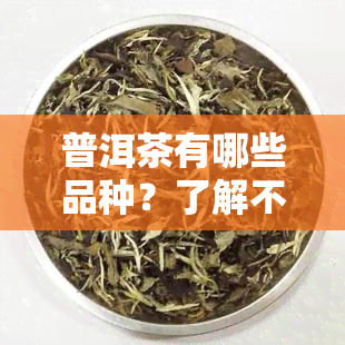 普洱茶有哪些品种？了解不同种类的图片介绍