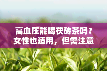 高血压能喝茯砖茶吗？女性也适用，但需注意饮用量