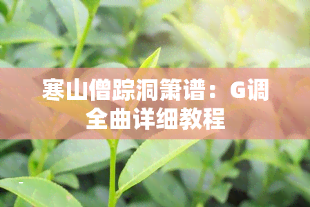 寒山僧踪洞箫谱：G调全曲详细教程