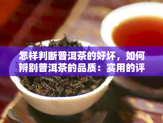 怎样判断普洱茶的好坏，如何辨别普洱茶的品质：实用的评判标准与技巧