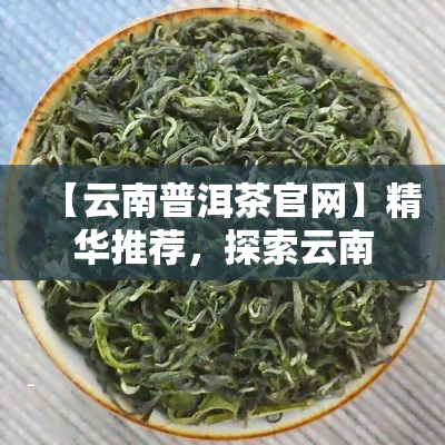 【云南普洱茶官网】精华推荐，探索云南普洱茶的魅力：【云南普洱茶官网】精华推荐