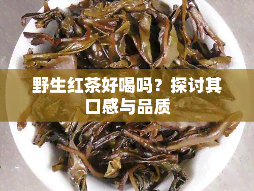 野生红茶好喝吗？探讨其口感与品质