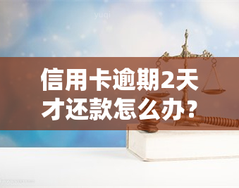 信用卡逾期2天才还款怎么办？解决方案全解析