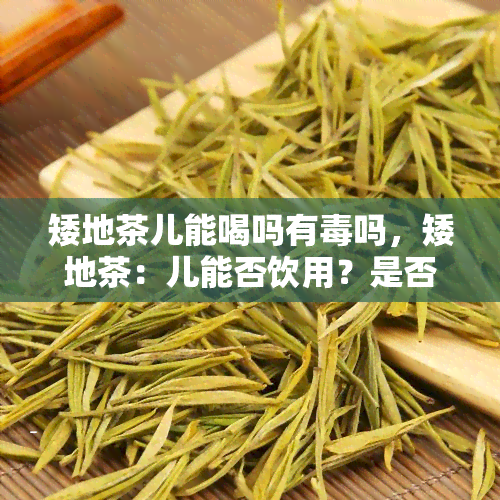 矮地茶儿能喝吗有吗，矮地茶：儿能否饮用？是否有？