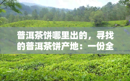 普洱茶饼哪里出的，寻找的普洱茶饼产地：一份全面的指南