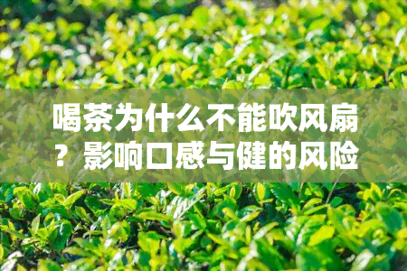 喝茶为什么不能吹风扇？影响口感与健的风险解析