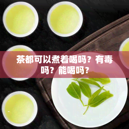 茶都可以煮着喝吗？有吗？能喝吗？