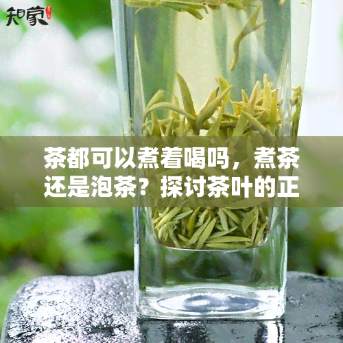 茶都可以煮着喝吗，煮茶还是泡茶？探讨茶叶的正确冲泡方式