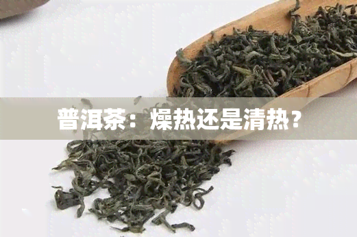 普洱茶：燥热还是清热？