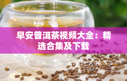 早安普洱茶视频大全：精选合集及下载