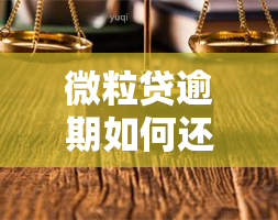 微粒贷逾期如何还款，如何高效还清微粒贷逾期？一份全面的还款指南