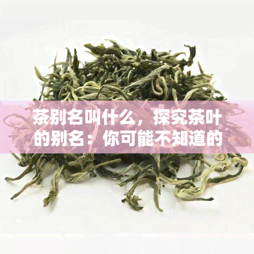 茶别名叫什么，探究茶叶的别名：你可能不知道的名字