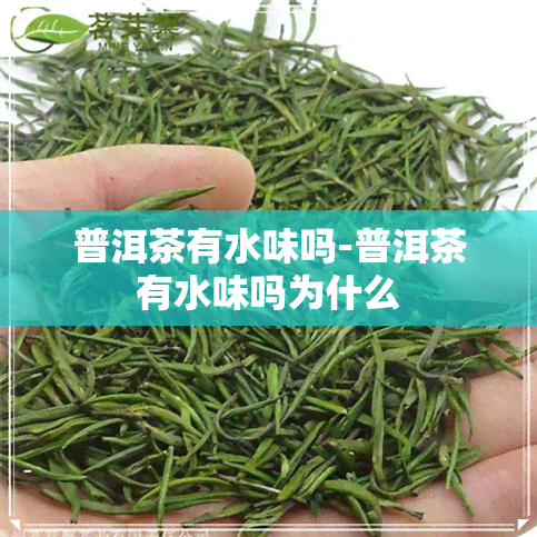 普洱茶有水味吗-普洱茶有水味吗为什么