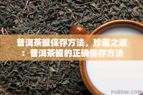 普洱茶罐保存方法，珍藏之道：普洱茶罐的正确保存方法