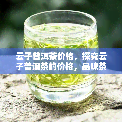 云子普洱茶价格，探究云子普洱茶的价格，品味茶中之王的珍贵之处