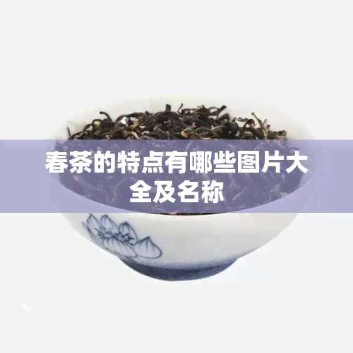 春茶的特点有哪些图片大全及名称