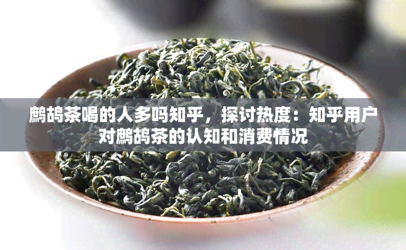 鹧鸪茶喝的人多吗知乎，探讨热度：知乎用户对鹧鸪茶的认知和消费情况