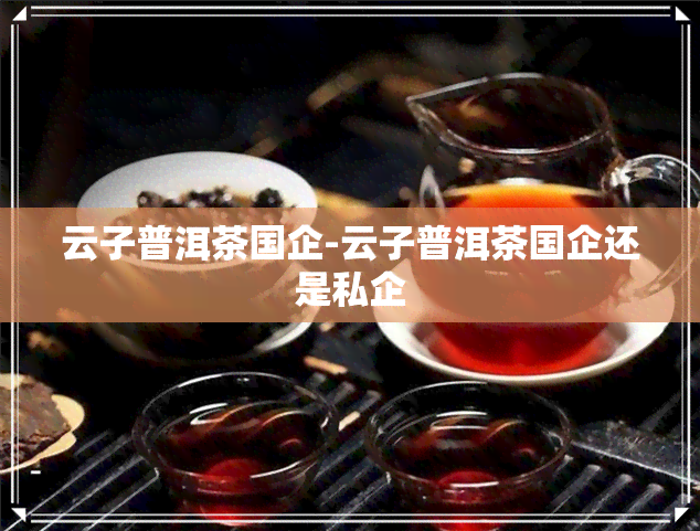 云子普洱茶国企-云子普洱茶国企还是私企