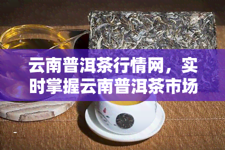 云南普洱茶行情网，实时掌握云南普洱茶市场动态，尽在云南普洱茶行情网！