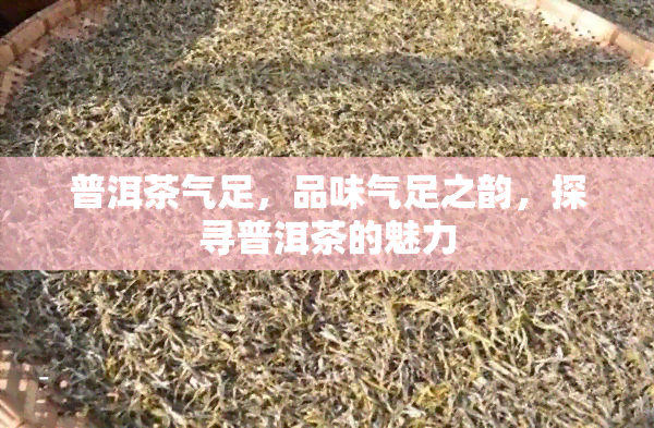 普洱茶气足，品味气足之韵，探寻普洱茶的魅力