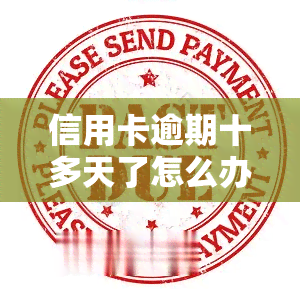 信用卡逾期十多天了怎么办，信用卡逾期十多天，应该采取什么措？