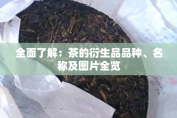 全面了解：茶的衍生品品种、名称及图片全览