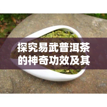 探究易武普洱茶的神奇功效及其作用